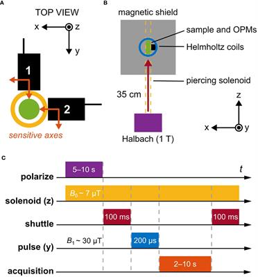 Proton relaxometry of tree leaves at hypogeomagnetic fields